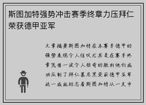 斯图加特强势冲击赛季终章力压拜仁荣获德甲亚军