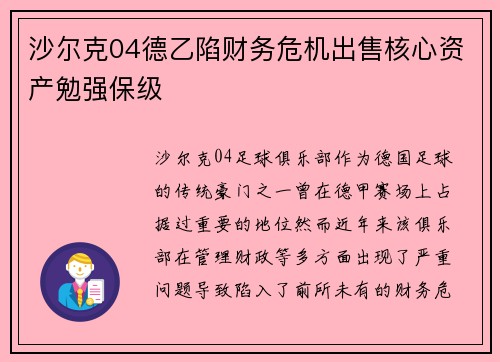沙尔克04德乙陷财务危机出售核心资产勉强保级 沙尔克04德乙陷财务危机出售核心资产勉强保级