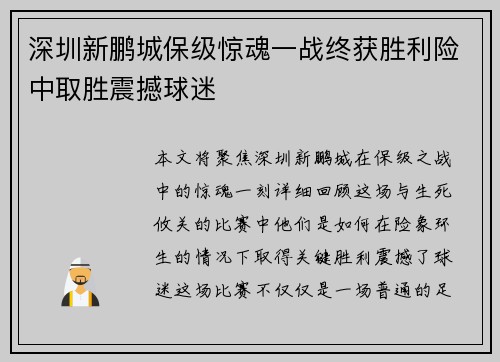 深圳新鹏城保级惊魂一战终获胜利险中取胜震撼球迷 深圳新鹏城保级惊魂一战终获胜利险中取胜震撼球迷
